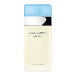 Dolce & Gabbana Light Blue Pour Femme Edt 100 ml hos parfumerihamoghende.dk 