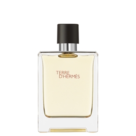 Hermés Terre D'Hermés Edt 100 ml hos parfumerihamoghende.dk