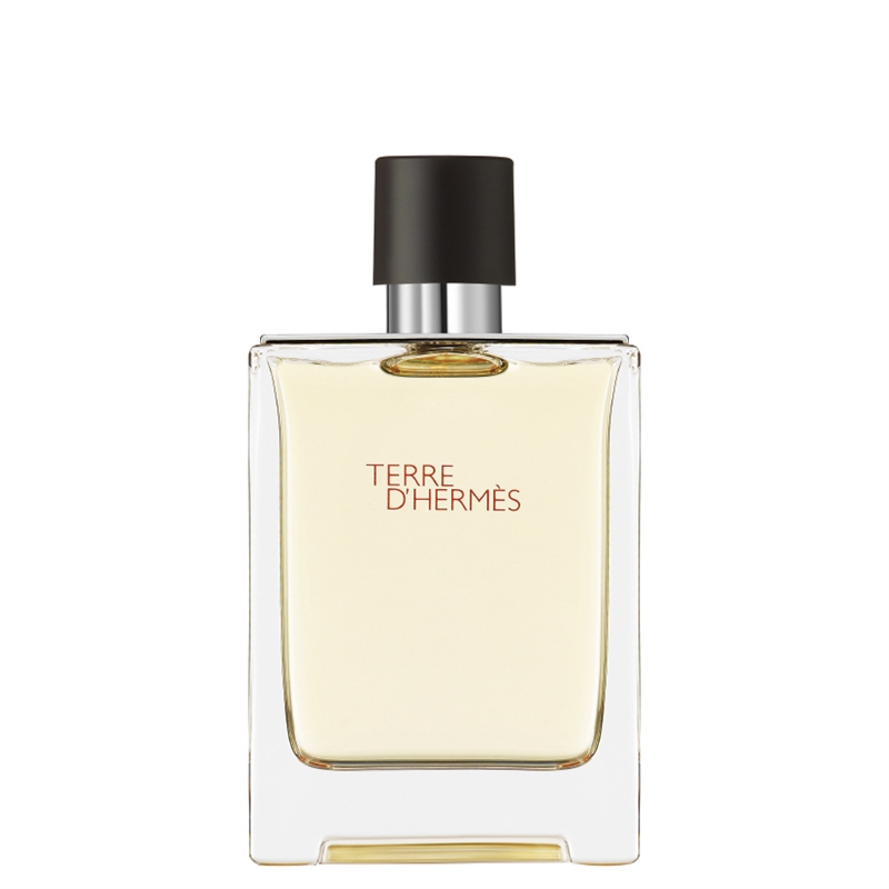 Hermés Terre D\'Hermés Edt 100 ml hos parfumerihamoghende.dk