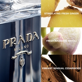 Prada L\'Homme L\'Eau Edt 50 ml hos parfumerihamoghende.dk 