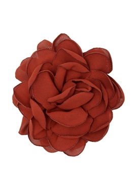 Pico Rose Claw - Cognac